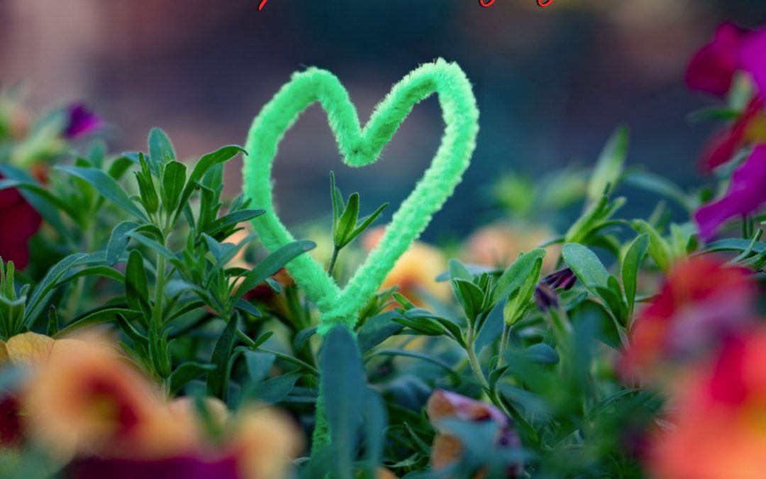 Love Quiz